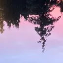 kingalex_dc