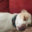 avatar allegra🇵🇾