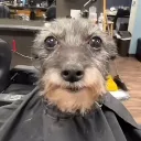 xvexunox