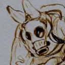 gillrot avatar