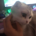 avatar KIriN ⸜🐣⸝