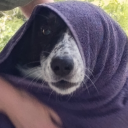 avatar 𓆩 Ducky 𓆪