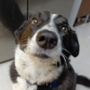 avatar 𓆩 Ducky 𓆪