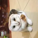 metchantthemerchant avatar