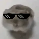 real0_0
