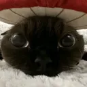 hexedd__