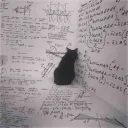 thepythonquant