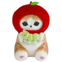 cpplecider
