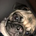 pablocerrajero avatar