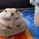 8df75fd3f4a149bb0a81d06cd5b41911