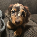 Cf5817a3a1f8049ae457b685cb9c189c