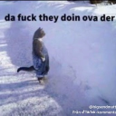 D6373a8bae9a4b28da73415b1b2c544a