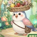 dc.pogo