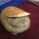 avatar ⰽⰰⱂⰹⱃⰵⰱⰵⰾ