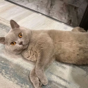 avatar ⰽⰰⱂⰹⱃⰵⰱⰵⰾ