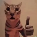 jlcxn