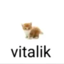 vitalik41022014