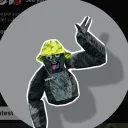 hammyguyvr