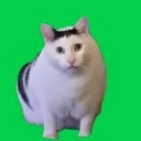 Aljosha
