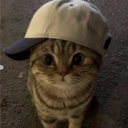 avatar Dragonﾒᡕᠵデᡁ᠊╾━ ☆