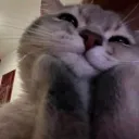 skzjoey