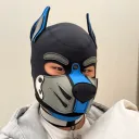 tndnjswlsh1