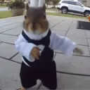mellcelcat4