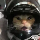 heavenlysheep_ avatar