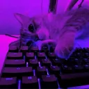 Аватар special334455