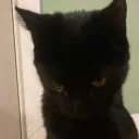 _darkstxr_