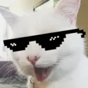 memescat avatar