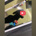 avatar 𝒞𝓇𝒾𝓈𝓉𝒾𝓃𝒶