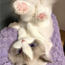 avatar Артём Овечкин