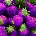 purple24532