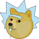 rkn_dev