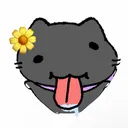 jupytterr
