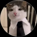 germandtart_49095 avatar