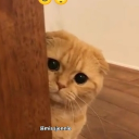 avatar 𝚂𝚠𝚊𝚛𝚞𝚙