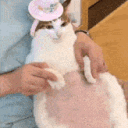 avatar baobaolover67