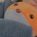 vanievermilion
