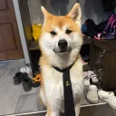 merly900