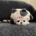 avatar bye bye kitty