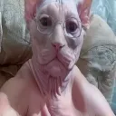 gustavo032789 avatar