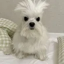 0lu9