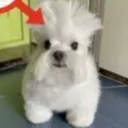 0lu9