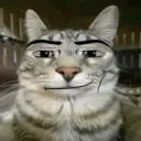 brianvrgt