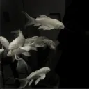 batman66vd