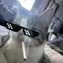 tcbharipro