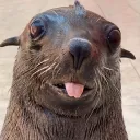 williamyttm