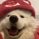 avatar 𝐨𝐥𝐢𝐰𝐢𝐚